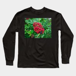 Wild Blackberries Long Sleeve T-Shirt